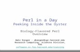 Perl in 24 Hours