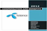 Compensation and Benefits Final Report - Telenor (1)