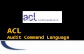 ACL Audit Command Language.pptx