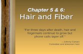 Hair and Fiber Ppt