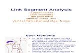 Link Segment Analysis