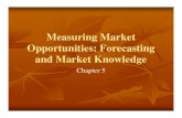 Chapter _ 5 Measuring Market Opportunities