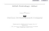 SEM Petrology Atlas