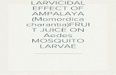 LARVICIDAL EFFECT OF AMPALAYA (Momordica charantia)  FRUIT JUICE ON Aedes MOSQUITO LARVAE