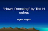 Hawk Roosting Pp