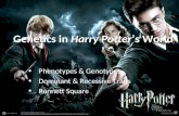 Genetics Harry Potter Ppt