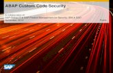 ABAP Custom Code Security 2012[1]