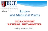 Botany Lecture 4