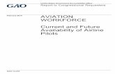 GOA Aviation Workforce Report