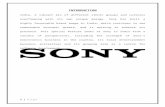 Sony Project