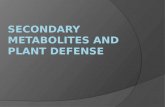 Secondary Metabolites and Plant Defense