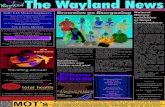 The Wayland News March 2014