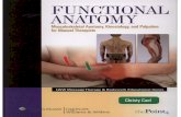 Functional Anatomy