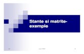 Curs 8 Exemple Stante .Ppt