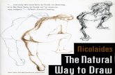 6641659 the Natural Way to Draw Kimon Nicolaides