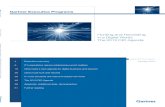 Gartner - 2013 CIO Agenda Report