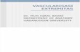 VASCULARISASI EXTREMITAS review