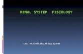Fisiology Renal System