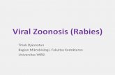 Viral Zoonosis Rabies