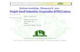 Punjab Small Industries Corporation Lahore (PSIC)