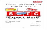40811653 Project Report on Marketing Planning Strategy by Sotc