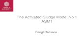 ASM1 Model Presentation