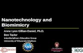 Nanotechnology and Biomimicry UW MRSEC Powerpoint