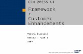 SAP CRM Framework