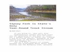 Sipsey Fork is State's Only Year-Round Trout Stream