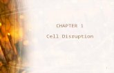 2 Cell Disruption 20022013