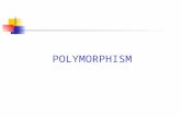 Polymorphism lecture  crystallization