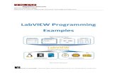 LabVIEW Programming Examples