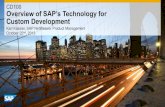 Overview of SAP’s Technology for  Custom Development