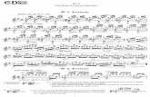 Bach - 24 Studi Da Concerto Su Temi Di Bach Per Flauto