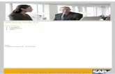 SAP Setup Guide