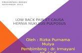 LOW BACK PAIN Et Causa Hernia Nukleus Pulposus