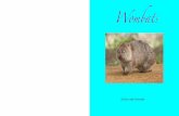 Fame's Wombat Adaptation
