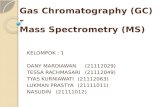 Gas Chromatography (GC) -Mass Spectrometry