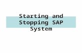 2.SAP Startstop Process
