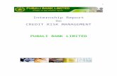 Report of Pubali Bank on Credit Risk Management
