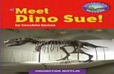 Meet Dino Sue!