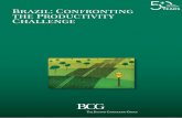 Boston Consulting Group - Brazil Confronting the Productivity Challenge