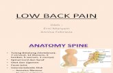 Low Back Pain-Rehab Medis