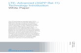 LTE- Advanced (3GPP Rel.11)