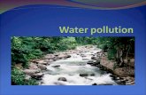 Chapter 2 - Water Pollution, Enviromental Pollution and Control