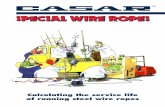 Casar – Calculating the Service Life of Running Steel Wire Ropes