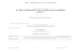 CMI Guidelines for Interoperability