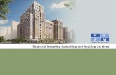 Real Estate Financial Modeling Consulting and Auditing Service Brochure