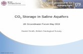 CO2 Storage in Saline Aquifers.pdf