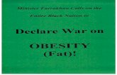 HMLF War on Obesity.pdf